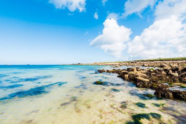 Plouguerneau, Brittany, Fransa 'daki Rocky okyanus kıyısı.