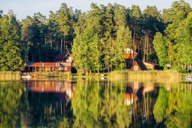 Kır manzarası. Orman nehri manzarası, arka planda ağaçlar ve evler. Sudaki yansımalar. Letonya