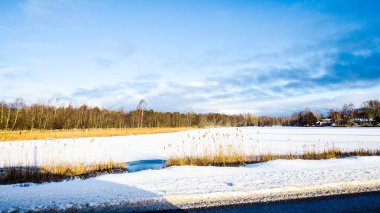 Güneşli bir günde arka planda ormanın olduğu karla kaplı bir kır arazisi manzarası.