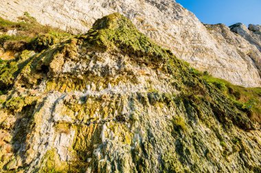 Normandiya, Fransa 'daki Etretat beyaz kayalıklarının manzarası