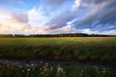 Gün batımında yeşil alan. Arka planda orman var. Renkli akşam bulutları. Letonya