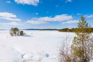 Açık bir kış gününde, karla kaplı tepelerin panoramik manzarası. Arka planda dağlar ve kozalaklı orman var. Kola Yarımadası, Murmansk bölgesi, Kutup Dairesi, Karelia, Rusya