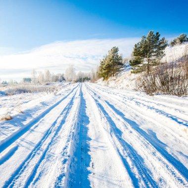 Tarlada ve huş ağaçlarında boş bir yol. Kış manzarası. Letonya