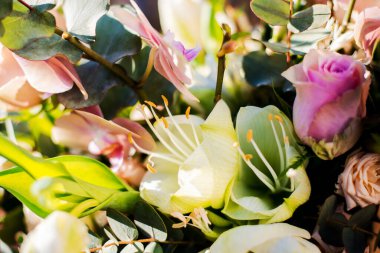 Çiçek dokusu. Renkli bir düğün buketinin parçası. Beyaz Alstroemeria ve yakın plan pembe güller. Riga, Letonya