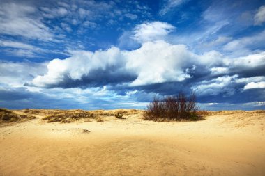 Güneşli bir bahar gününde, Baltık Denizi 'nin (kum tepeleri) kumlu sahili. Dramatik bulut manzarası. - Letonya. Mevsimler, iklim değişikliği, hava, doğa, çevre