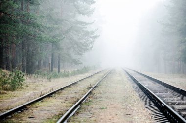 Sabahları puslu demiryolu, arka planda çam ağaçları, Letonya