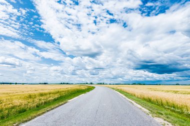 Yaz manzarası. Tarımsal tarlalardan geçen boş bir asfalt yol, arka planda orman manzarası. ABD