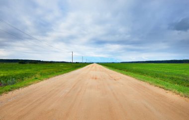 Bulutlu bir sonbahar gününde yeşil tarımsal tarlalar boyunca uzanan boş toprak arazi yolunun manzarası, arka planda transformatör direklerinin yakın çekimi. Letonya