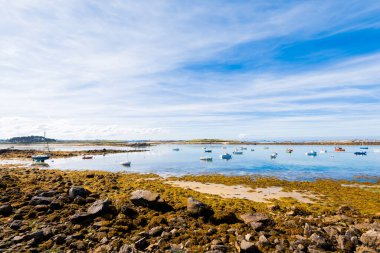 Güneşli bir günde Lilia körfezinde Vierge deniz fenerinin yanında yat ve tekneler geziyor. Plouguerneau, Finistre, Brittany, Fransa. Seyahat yerleri, ulusal dönüm noktası, eğlence teması.