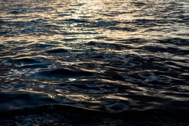 Koyu su dokusu. Gün batımında Baltık Denizi
