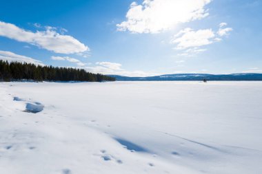 Açık bir kış gününde, karla kaplı tepelerin panoramik manzarası. Arka planda dağlar ve kozalaklı orman var. Kola Yarımadası, Murmansk bölgesi, Kutup Dairesi, Karelia, Rusya