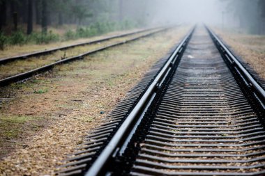 Akşamları puslu demiryolu, arka planda çam ağaçları, Letonya