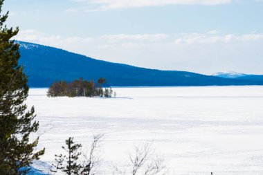 Donmuş gölün panoramik manzarası. Yakından firavun ağaçları. Arka planda karla kaplı dağlar ve kozalaklı ormanlar var. Açık mavi gökyüzü. Kola Yarımadası, Murmansk bölgesi, Kutup Dairesi, Karelia, Rusya