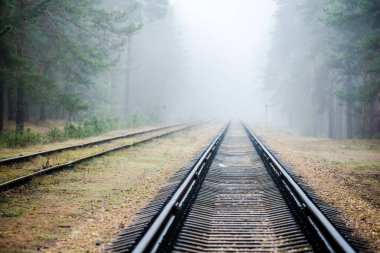 Akşamları puslu demiryolu, arka planda çam ağaçları, Letonya