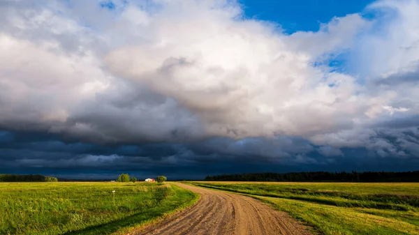 Dirt Road Green Crop Agricultural Fields Sunset Dramatic Evening Sky — Stock Photo, Image