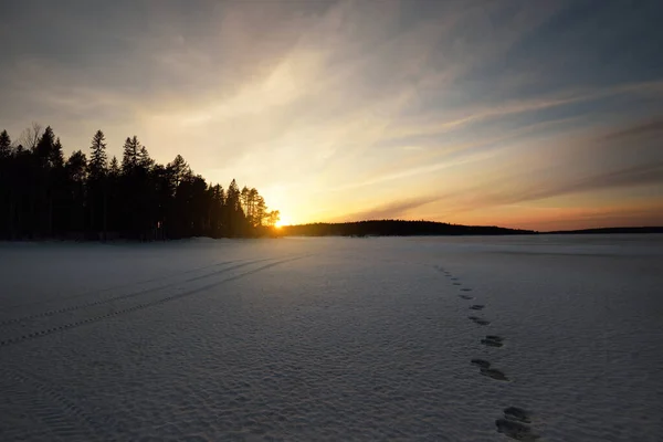 Dramatic Sky Snow Covered Frozen River Old Evergreen Trees Close — Stock Photo, Image