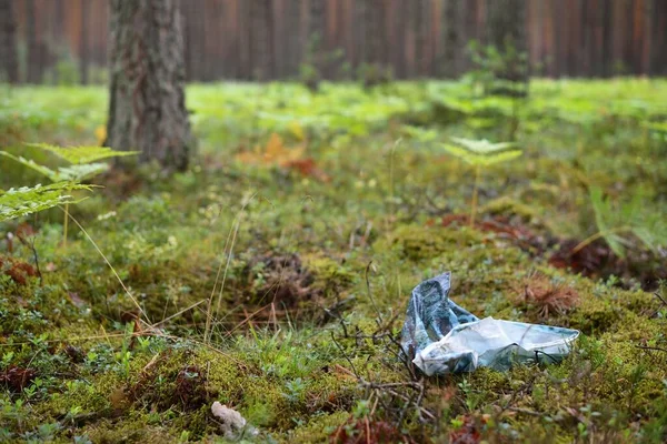 Cellophane Bag Forest Close Finland — Stok Foto