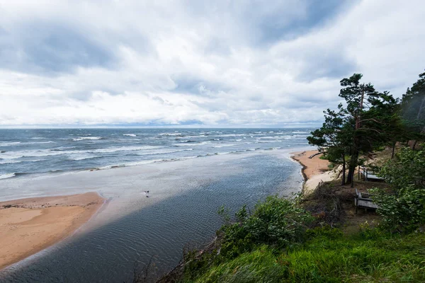 Ciel Vagues Dramatiques Vue Aérienne Littoral Une Forêt Pins Arrière — Photo