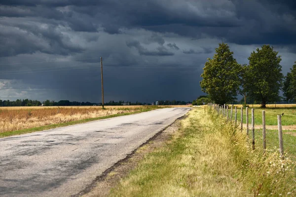 Letní Krajina Pohled Prázdnou Asfaltovou Cestu Přes Zemědělská Pole Lesy — Stock fotografie