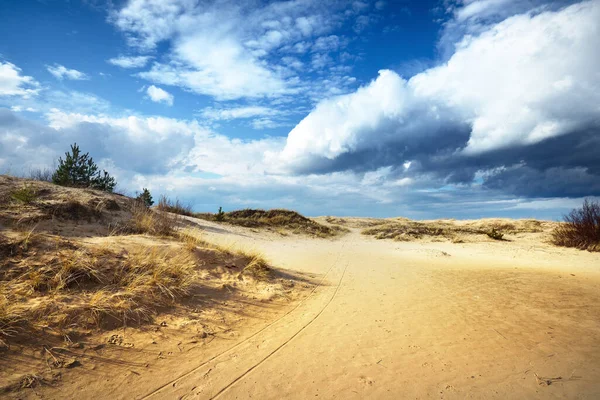 Zandstrand Van Oostzee Zandduinen Een Zonnige Lentedag Dramatisch Wolkenlandschap Letland — Stockfoto