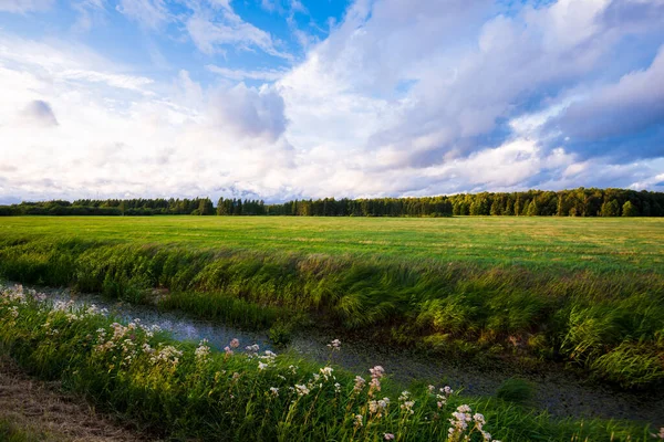 Зелене Поле Невелика Річка Під Час Заходу Сонця Ліс Фоні — стокове фото