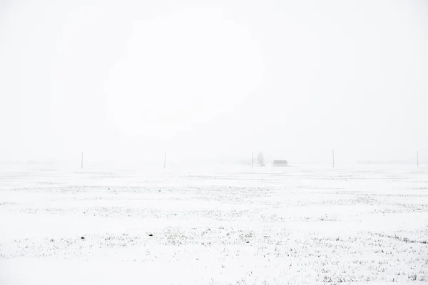 Bulutlu Bir Kış Gününde Arka Planda Bir Ormanın Olduğu Karla — Stok fotoğraf