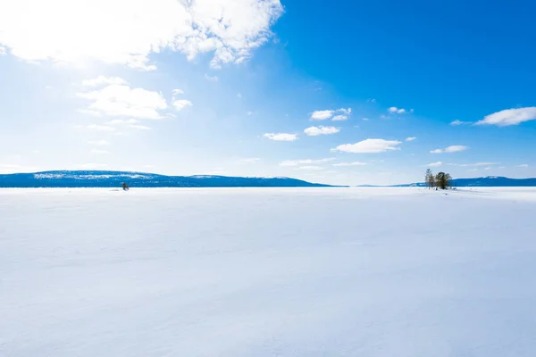 Panoramisch Uitzicht Besneeuwde Heuvels Een Heldere Winterdag Bergen Naaldbos Achtergrond — Stockfoto