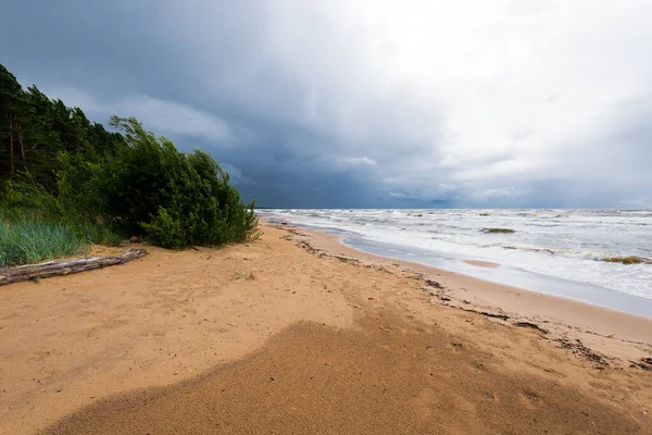 Dramatik Gökyüzü Dalgalar Deniz Kıyısından Bir Manzara Arka Planda Çam — Stok fotoğraf