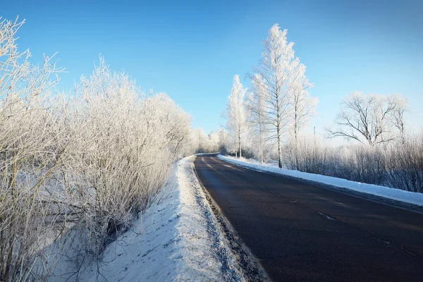 冬天的森林场景 一条空旷的乡间沥青路 后面是白雪覆盖的桦树和房屋 阳光和纯净的夜光 晴朗的蓝天 拉脱维亚 — 图库照片