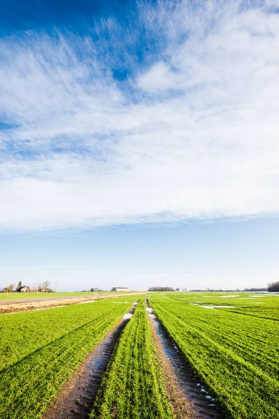 Inizio Primavera Paesaggio Rurale Una Vista Del Campo Agricolo Verde — Foto Stock