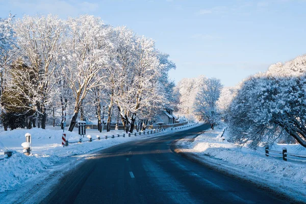 在暴风雪之后 一条清澈的沥青路面 急转直下 穿过被雪覆盖的树木 早上的阳光拉脱维亚Sigulda — 图库照片