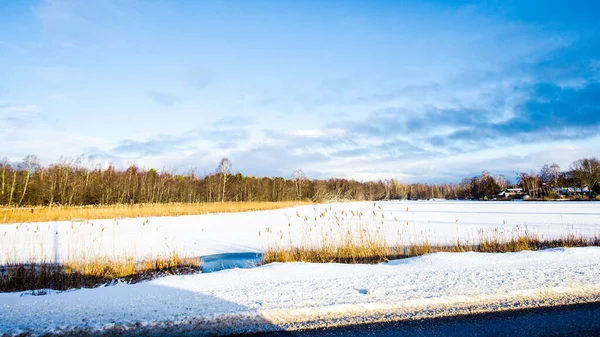 在晴朗的晴天 可以看到白雪覆盖的乡间田野 背景是一片森林 — 图库照片