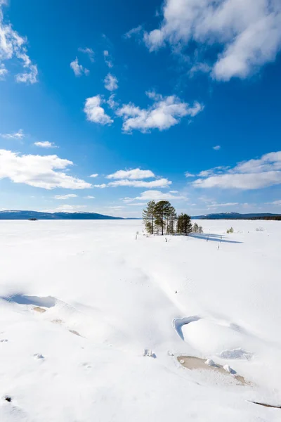 Panoramiczny Widok Pokryte Śniegiem Wzgórza Pogodny Zimowy Dzień Góry Las — Zdjęcie stockowe