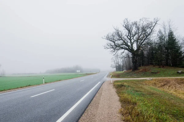 Vidéki Táj Egy Üres Aszfalt Egy Erős Reggeli Ködben Erdő — Stock Fotó