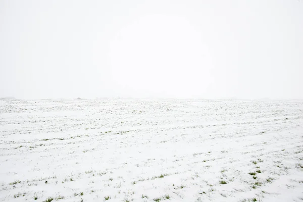 Pohled Zasněžené Venkovské Pole Lesem Pozadí Oblačného Zimního Dne Lotyšsko — Stock fotografie