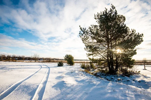 Une Vue Sur Champ Campagne Enneigé Avec Une Forêt Pins — Photo