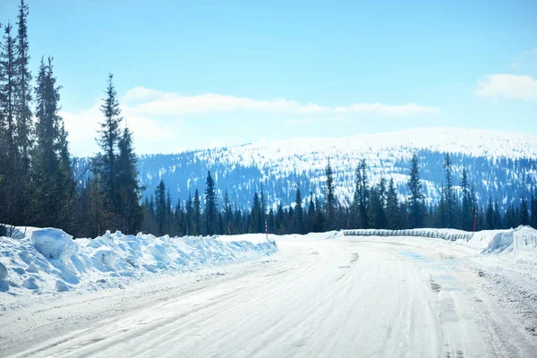 Una Vista Della Strada Vuota Attraverso Foresta Conifere Montagne Innevate — Foto Stock