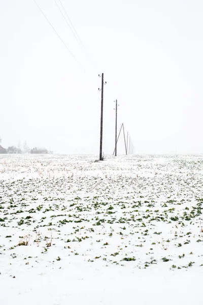 Widok Zaśnieżone Pole Wiejskie Lasem Tle Pochmurny Zimowy Dzień Łotwawidok — Zdjęcie stockowe