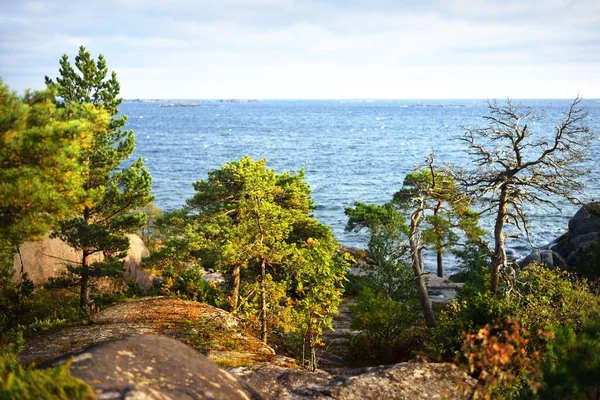 Bomen Rotsachtige Kust Van Het Schiereiland Hanko Golf Van Finland — Stockfoto