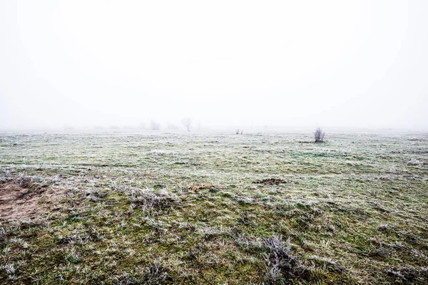 Paesaggio Invernale Campo Nebbioso Mattutino Gelo Neve Sull Erba Lettonia — Foto Stock