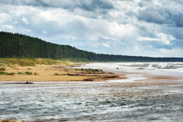 バルト海 嵐の波の上に濃い青の曇りの空 背景に常緑樹林 海岸からの眺め ラトビア — ストック写真