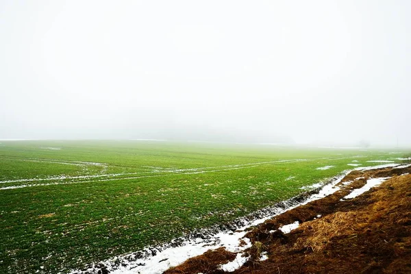 Campagna Verde Campo Agricolo Sotto Cielo Cupo Una Fitta Nebbia — Foto Stock