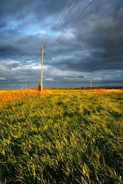 Blick Auf Den Feldweg Durch Die Grünen Landwirtschaftlichen Felder Bei — Stockfoto