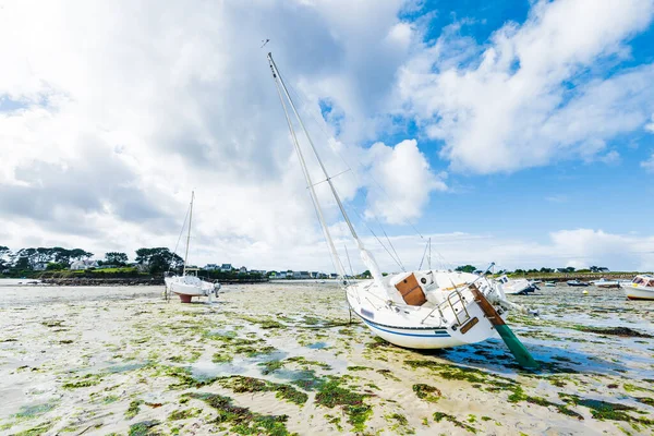 Yachts Marée Basse Plouguerneau Bretagne France Gros Plan — Photo