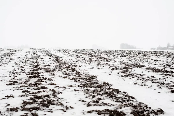 Вид Вкрите Снігом Сільське Поле Лісом Задньому Плані Похмурий Зимовий — стокове фото