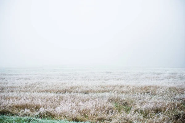 Zimní Krajina Mlhavé Ranní Pole Mráz Sníh Trávě Lotyšsko — Stock fotografie