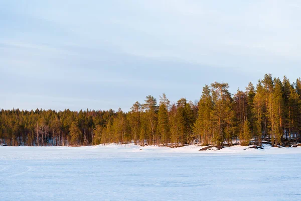 Dramatisk Himmel Ovanför Den Snötäckta Frusna Floden Gamla Vintergröna Träd — Stockfoto