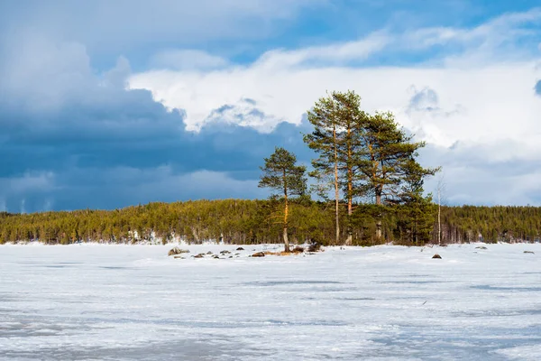 Dramatic Blue Sunset Sky Snow Covered Frozen Kuito Lake Coniferous — Stock Photo, Image