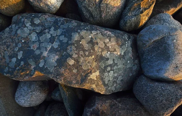 Piedras Textura Primer Plano Mar Báltico Estonia — Foto de Stock