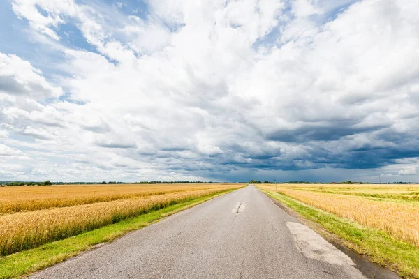 Paesaggio Estivo Vista Una Strada Asfaltata Campagna Vuota Attraverso Campi — Foto Stock